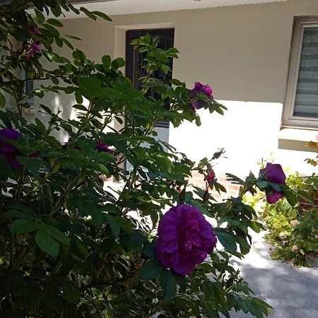 Séjour à la campagne Le Murmure De La Petite Oasis *