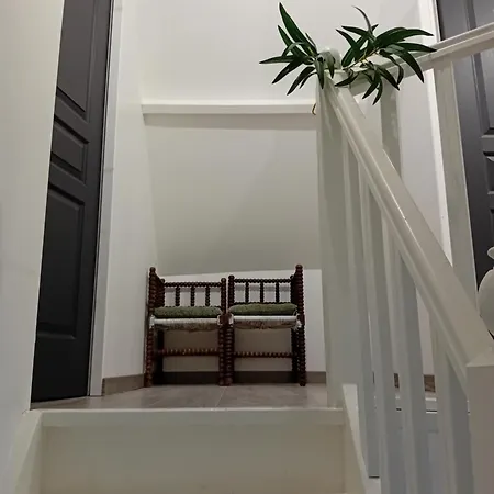 Le Murmure De La Petite Oasis Neslette