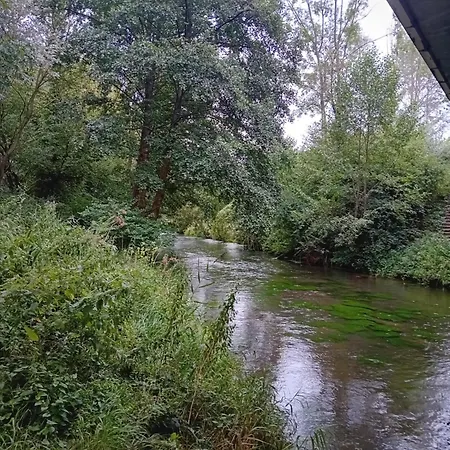Le Murmure De La Petite Oasis *