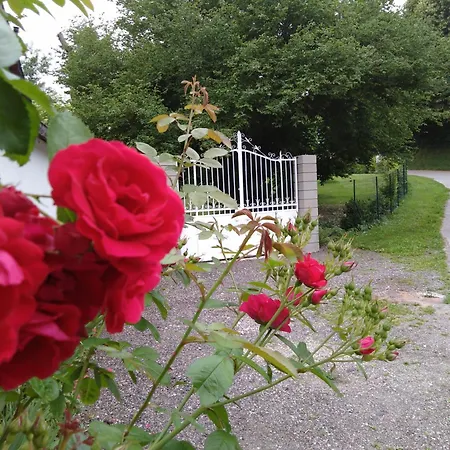 Le Murmure De La Petite Oasis * Neslette
